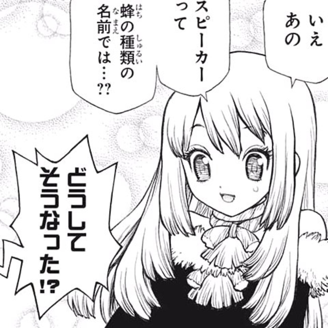 ドクター ストーン ルリ