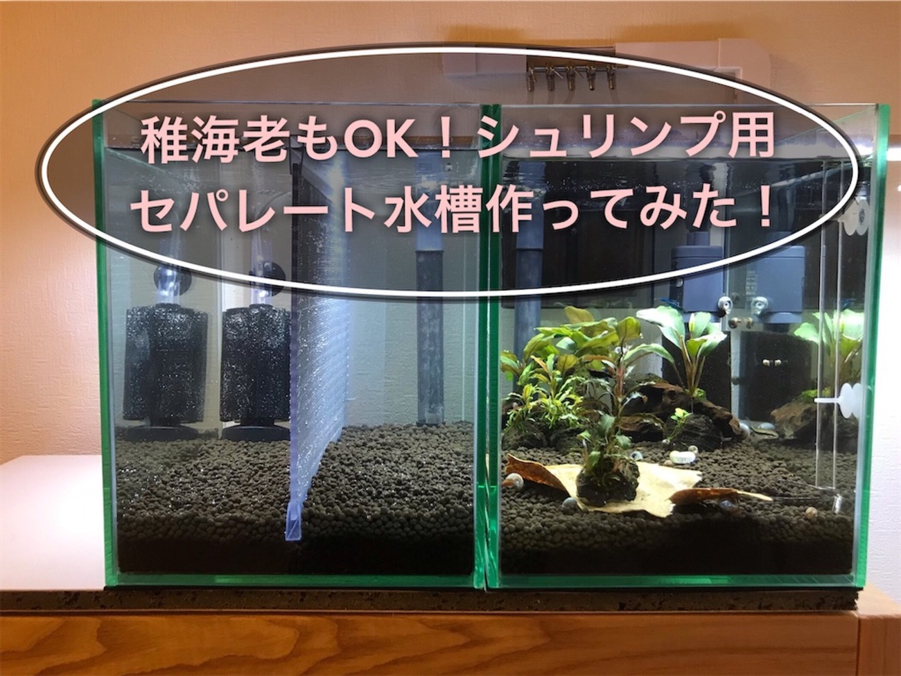 仕切り水槽60センチ 水槽仕切り60x60cm キスゴム式 板厚3mm オーダー製作品 送料無料