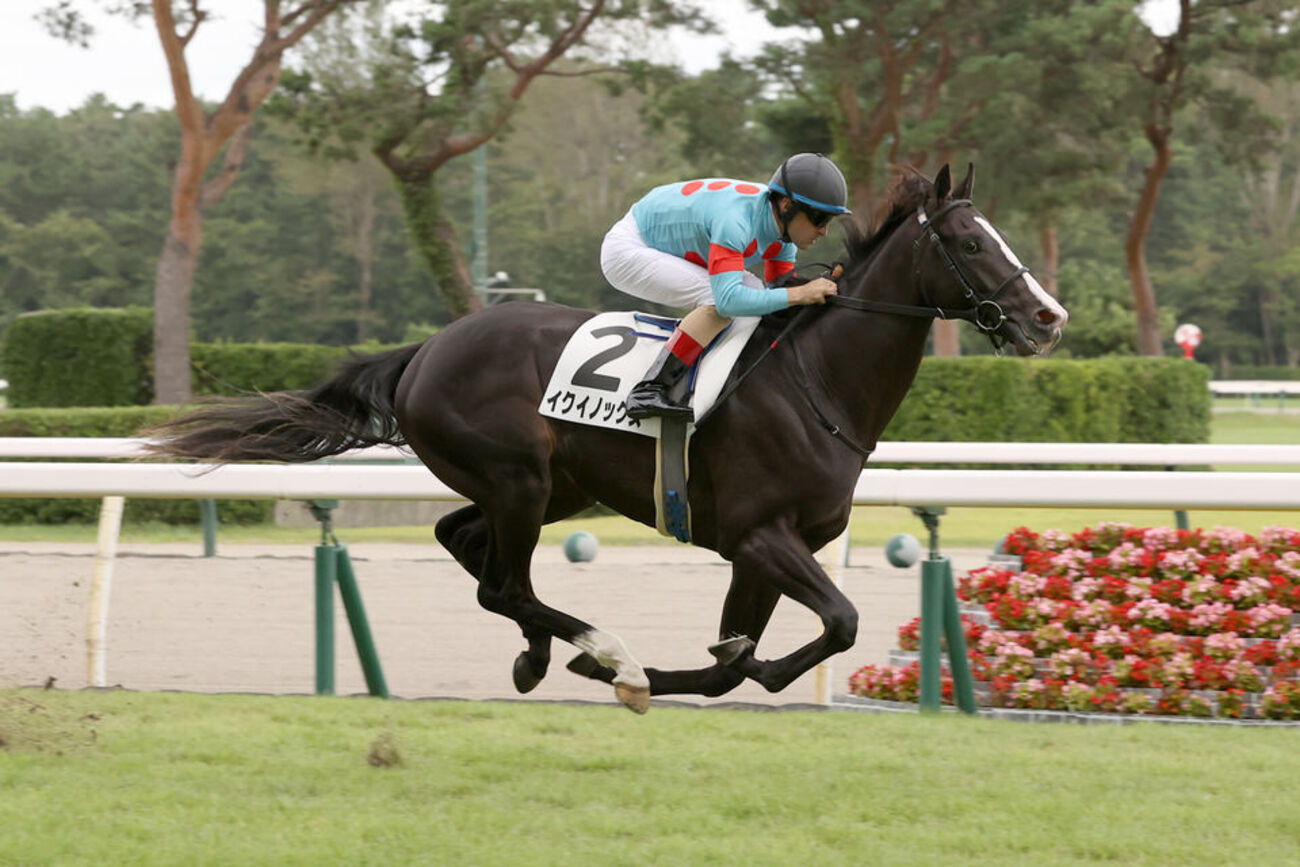 愛馬観戦記 【イクイノックス 2歳新馬】 - Winner