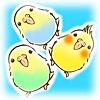 つみインコ