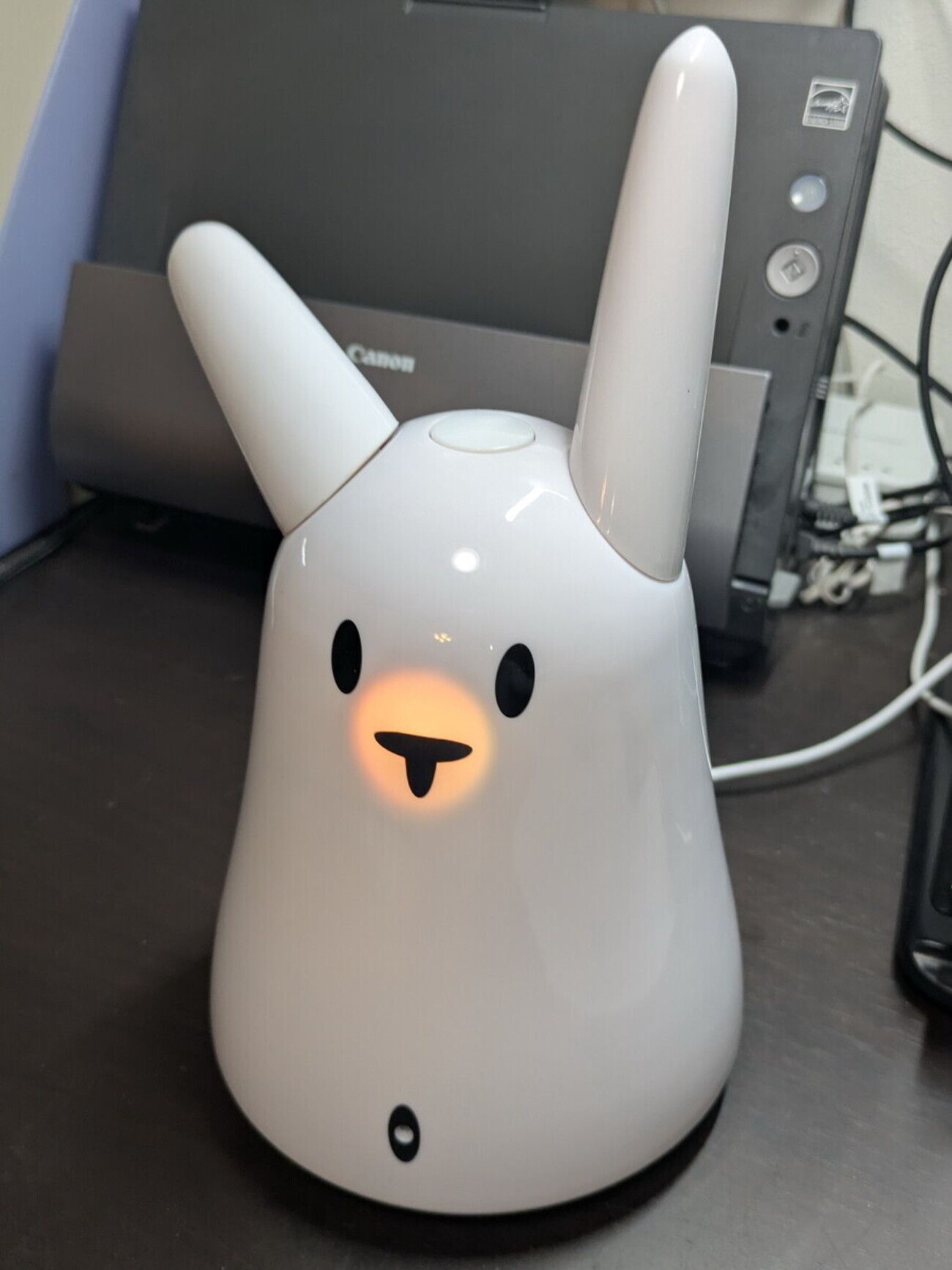 うさぎ復活計画】「みみ」をグルグルさせる（前編） - コモノポリタン