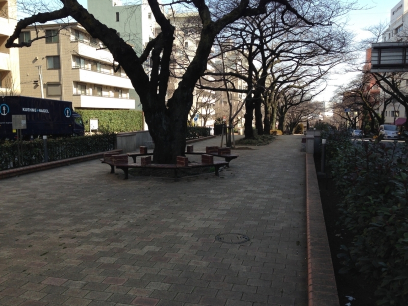 彫刻放浪：播磨坂さくら並木→占春園/教育の森公園→窪町東公園