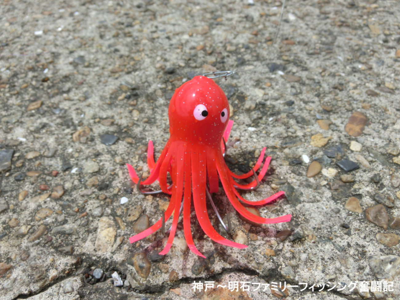 浮き玉のタコ 浮き玉のタコ