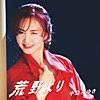 荒野より