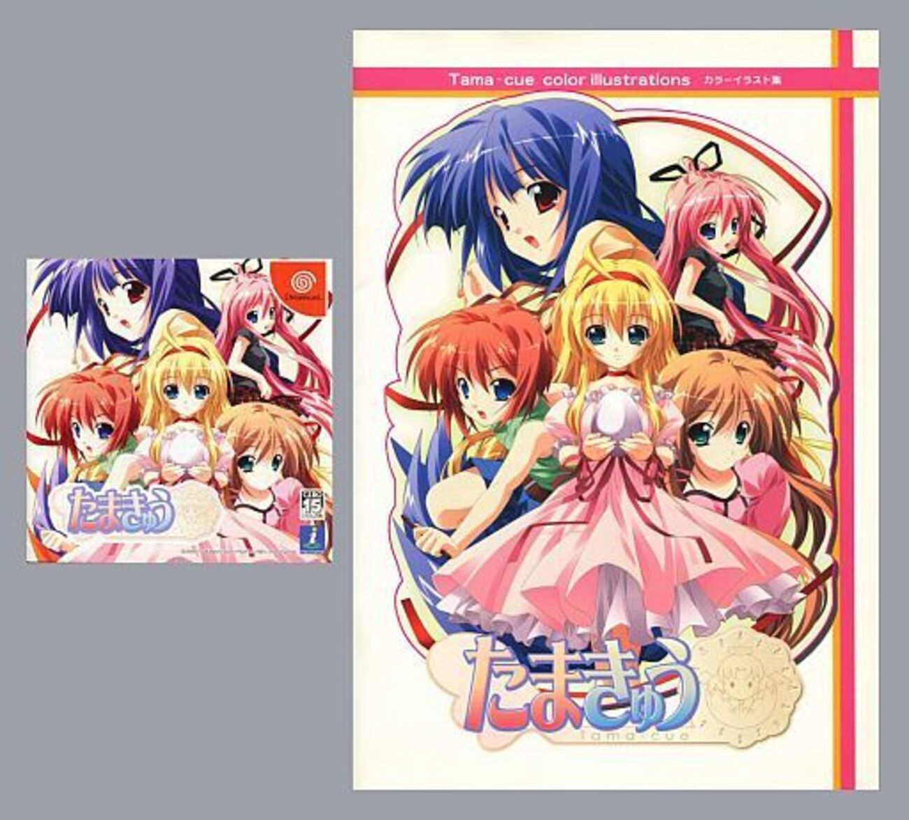 意外と安く買えるNEC発売のドリームキャスト 逆プレミアソフト