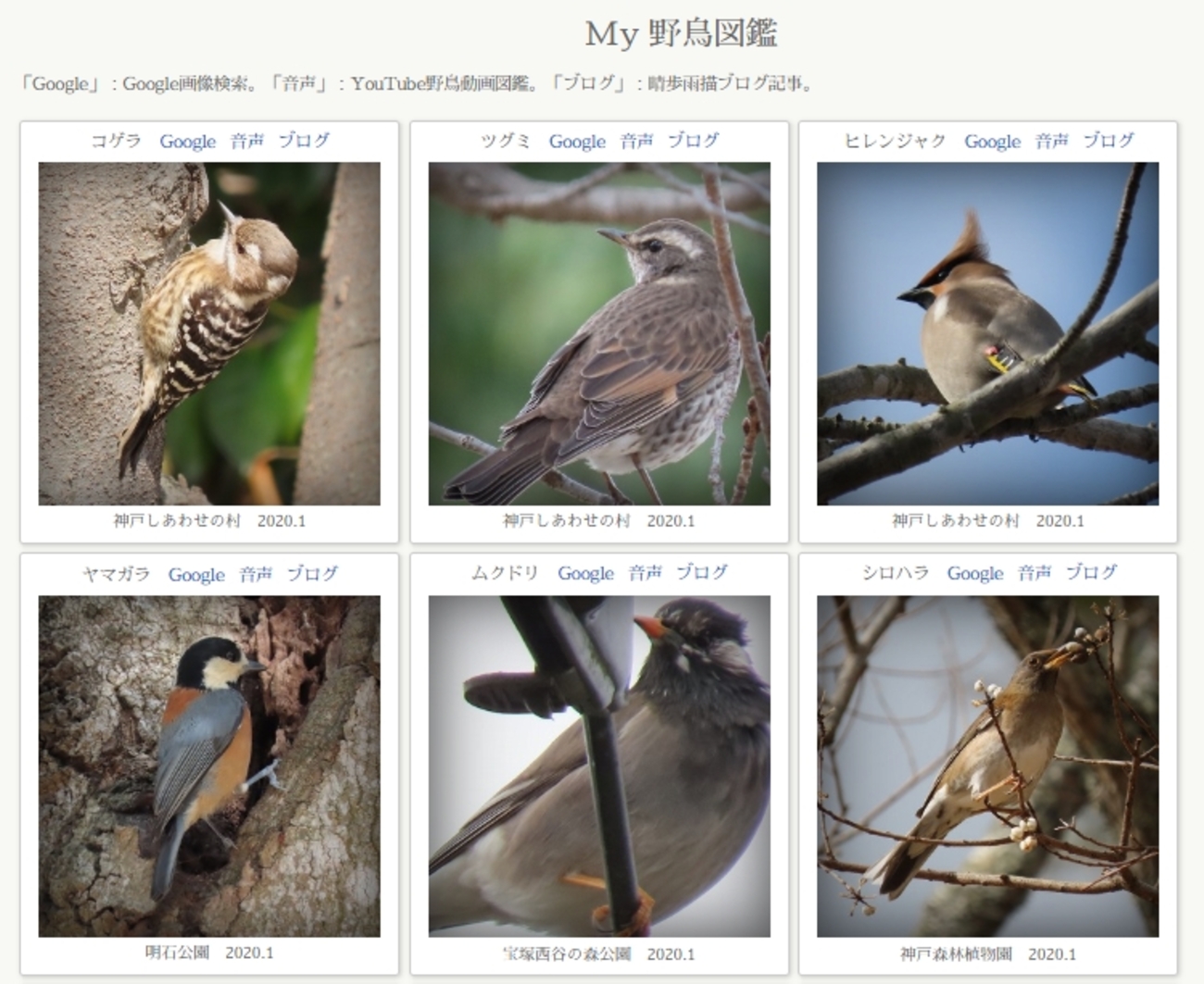 「My野鳥図鑑」作成。Google画像検索、YouTube野鳥動画図鑑検索付き。 - 晴歩雨描