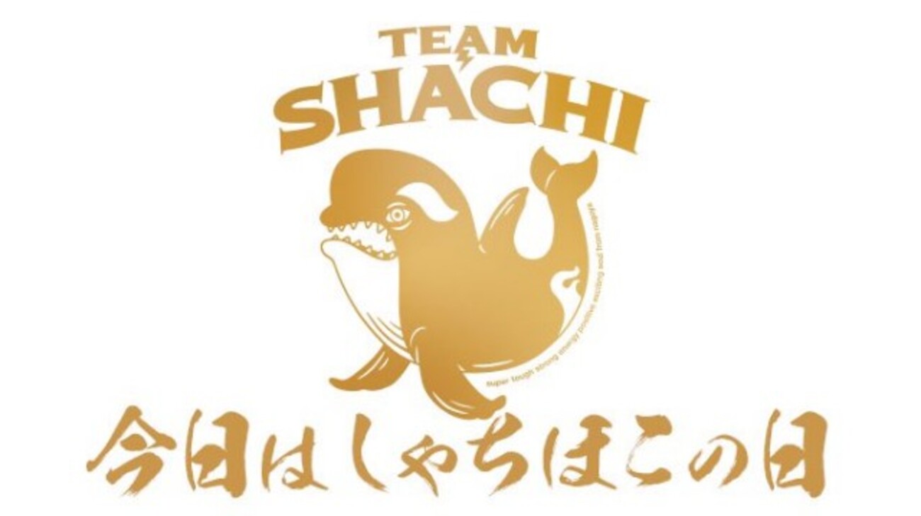 チームしゃちほこ回顧録――勝手に！ Road to #シャチはちゃパシ Vol.3