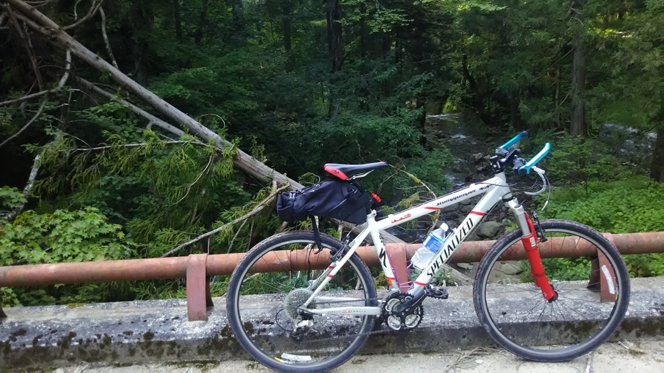 SPECIALIZED stumpjumper M4 - バリトン 