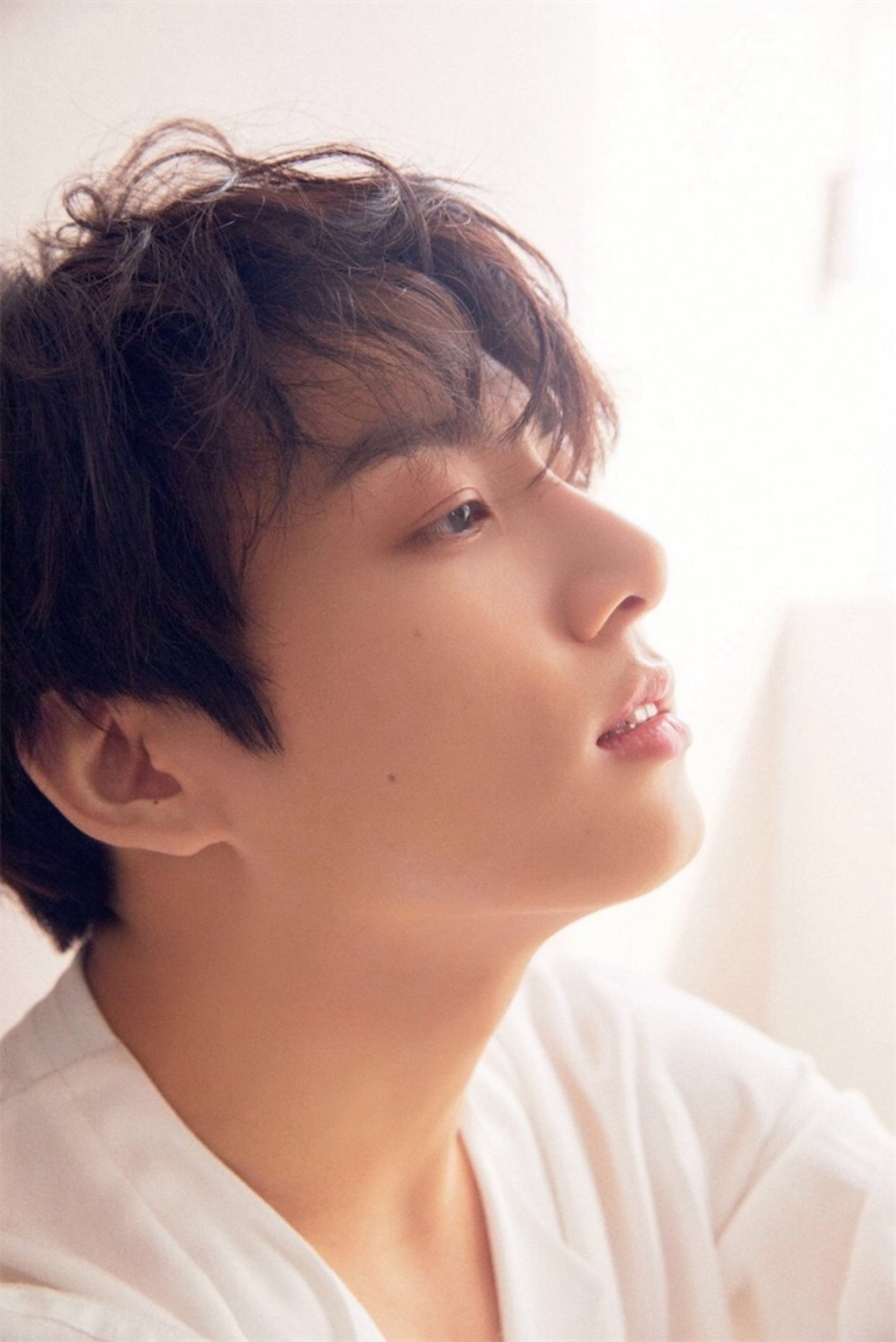 backend=imagemagick;version=1;