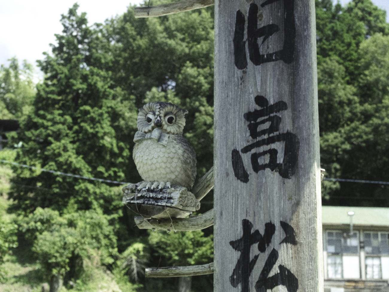 【中古】 小さな山の学校で！ 山田山でサバイバル!? - あかね書房