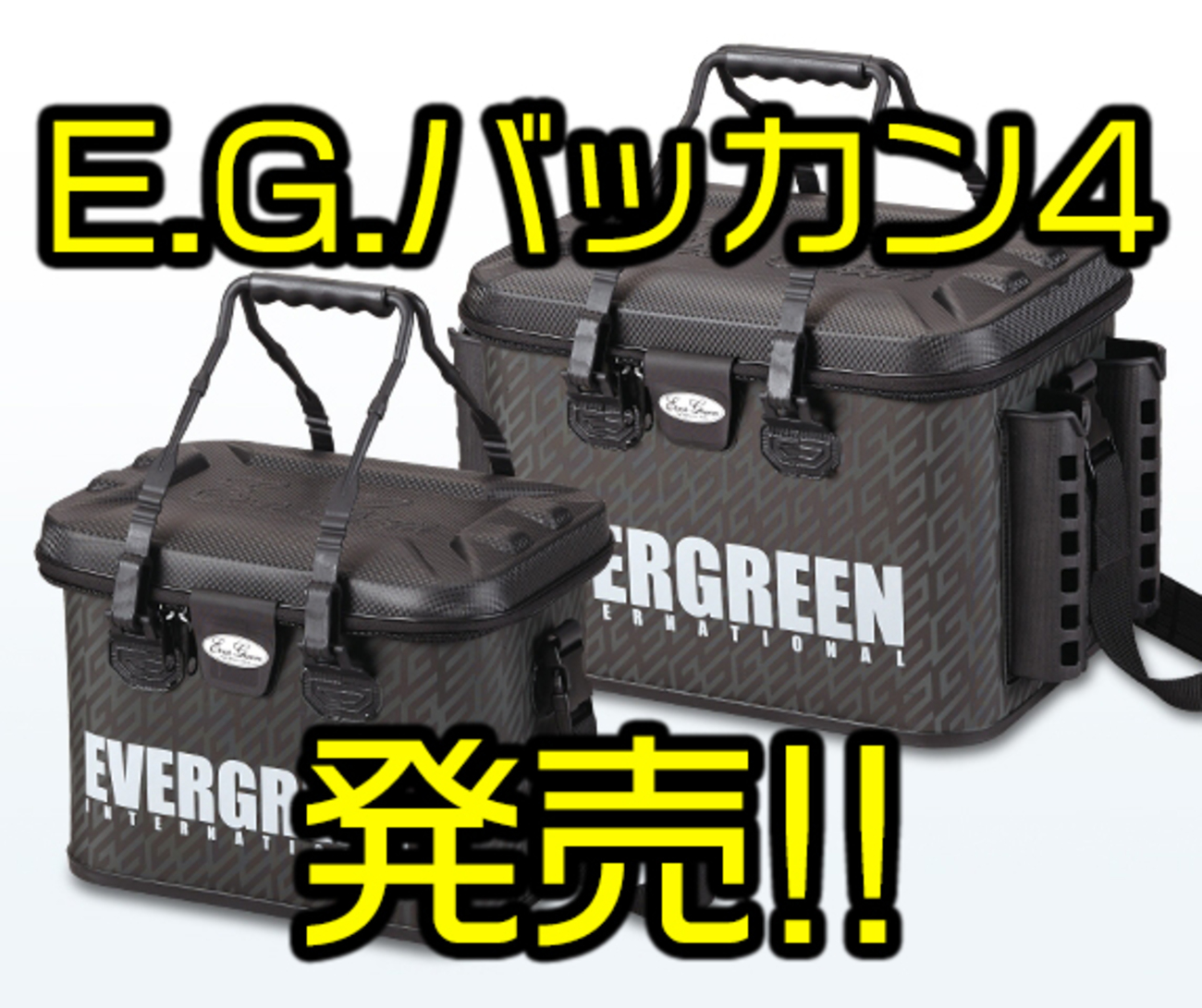 EVERGREEN 未開封　ノイジーダックス2個 新品BOXセット 天馬公式】プレクシーケース LL オールクリアの通販