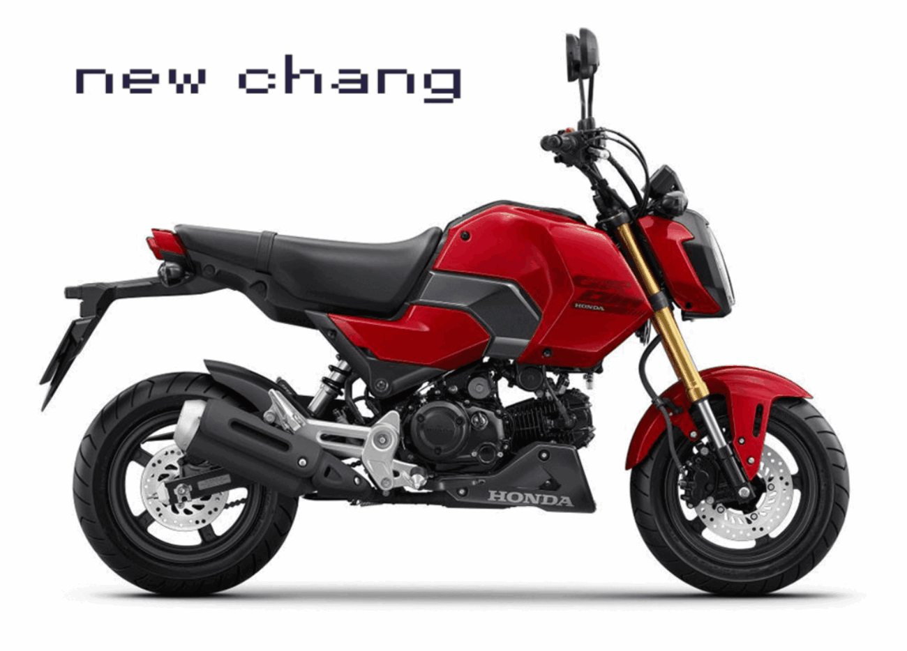 2024年式の新型グロムが発表されたぁ！！（マイナーチェンジ