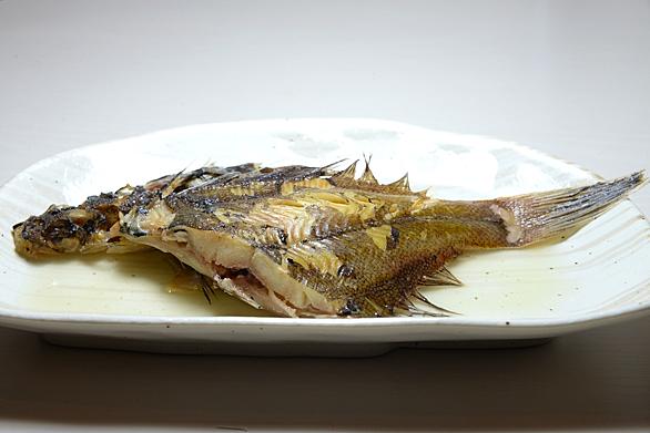 カレイとは 動植物の人気 最新記事を集めました はてな カレイとは 動植物の人気 最新記事を集めました はてな