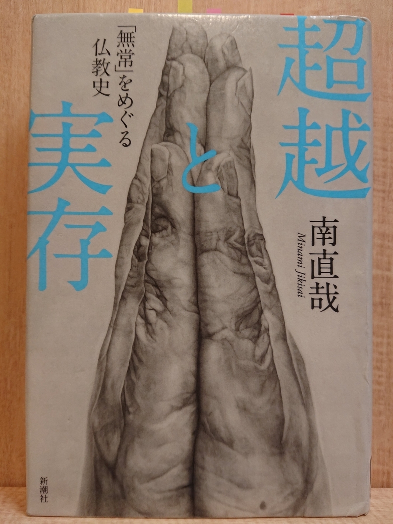 超越と実存 「無常」をめぐる仏教史』 by 南直哉 - Megurecaのブログ