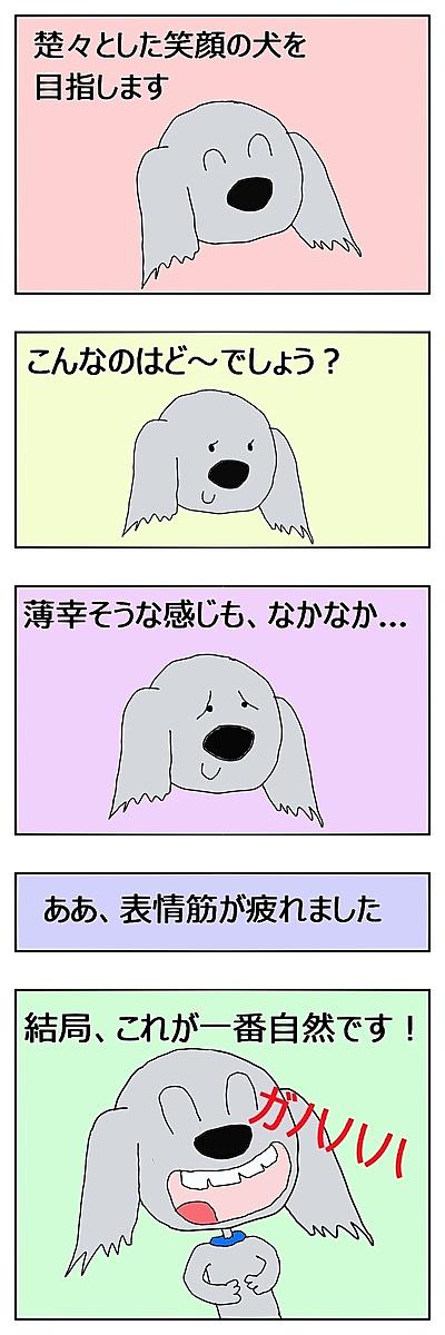 笑う犬とは テレビの人気 最新記事を集めました はてな