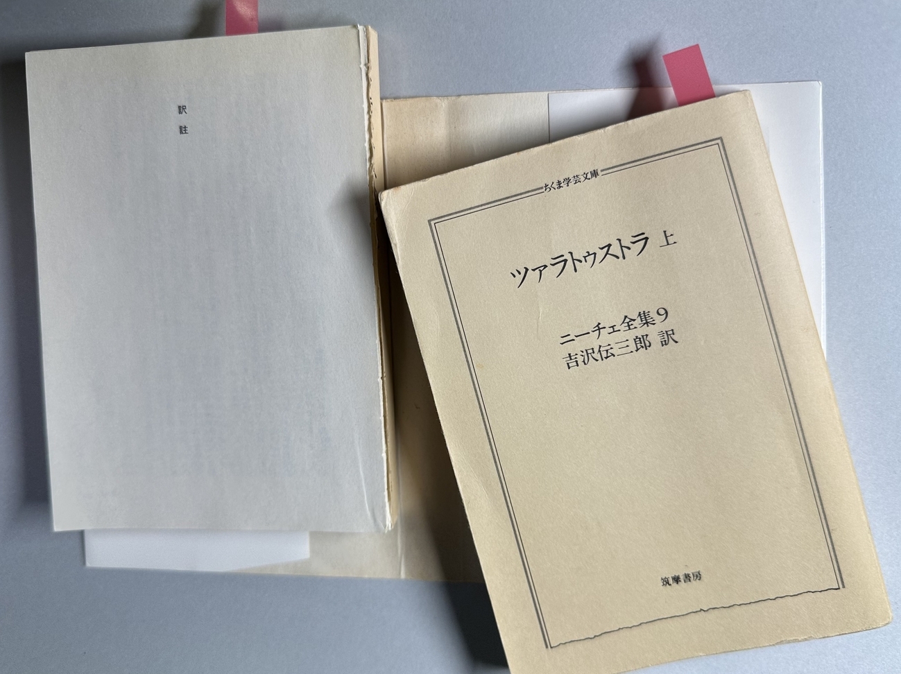 資料】ニーチェの著作 - 蛭川研究室