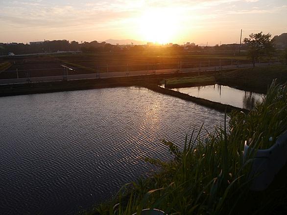 日没とは サイエンスの人気 最新記事を集めました はてな 日没とは サイエンスの人気 最新記事を集めました はてな