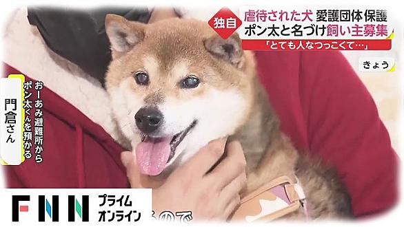動物虐待とは 動植物の人気 最新記事を集めました はてな 動物虐待とは 動植物の人気 最新記事を集めました はてな
