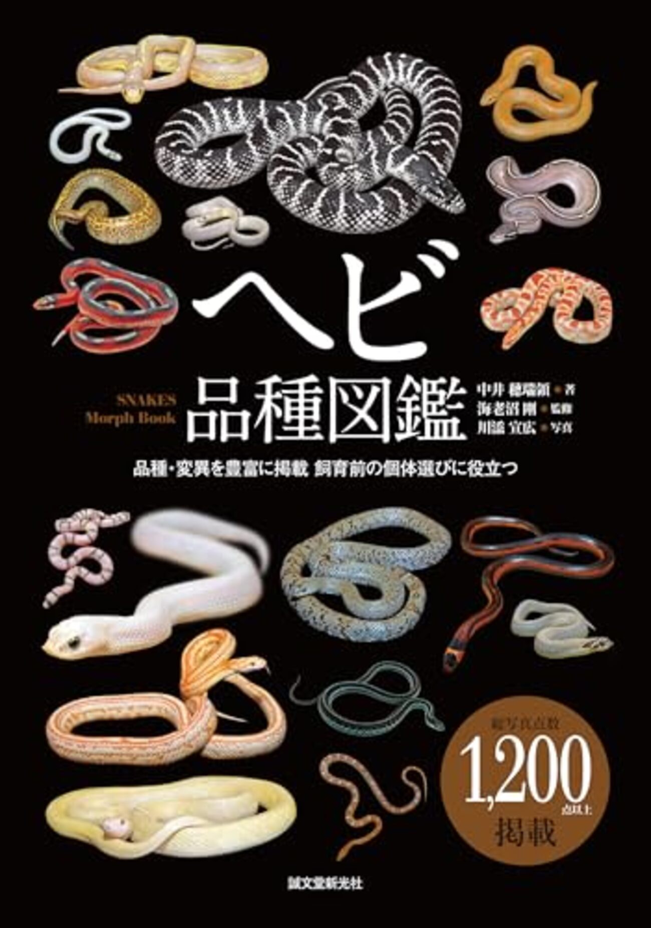 ヘビの多様な世界を1,200枚以上の写真で紹介する図鑑「ヘビ品種図鑑」 - mojiru【もじをもじる】