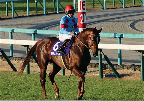 キーンランド競馬場とは スポーツの人気 最新記事を集めました はてな キーンランド競馬場とは スポーツの人気 最新記事を集めました はてな