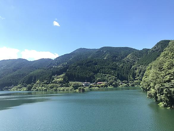 八女津姫とは 動植物の人気 最新記事を集めました はてな