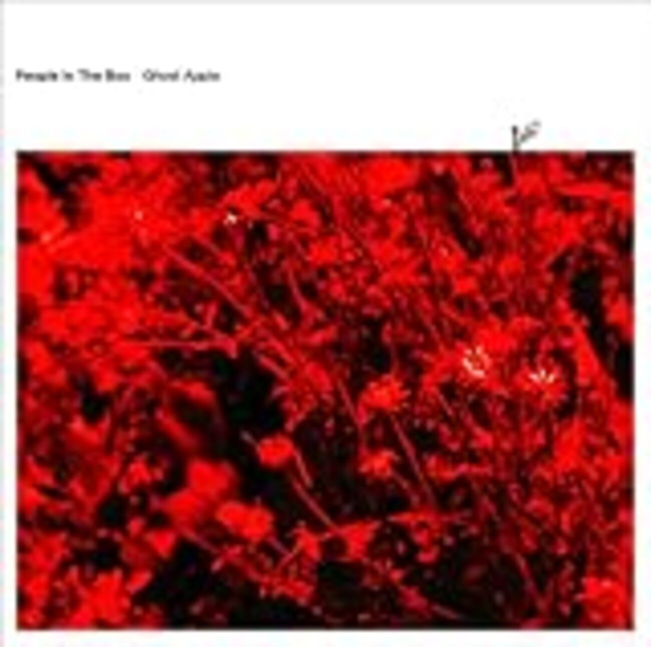 People in the box の魅力と「Things Discovered」で少し落胆した話