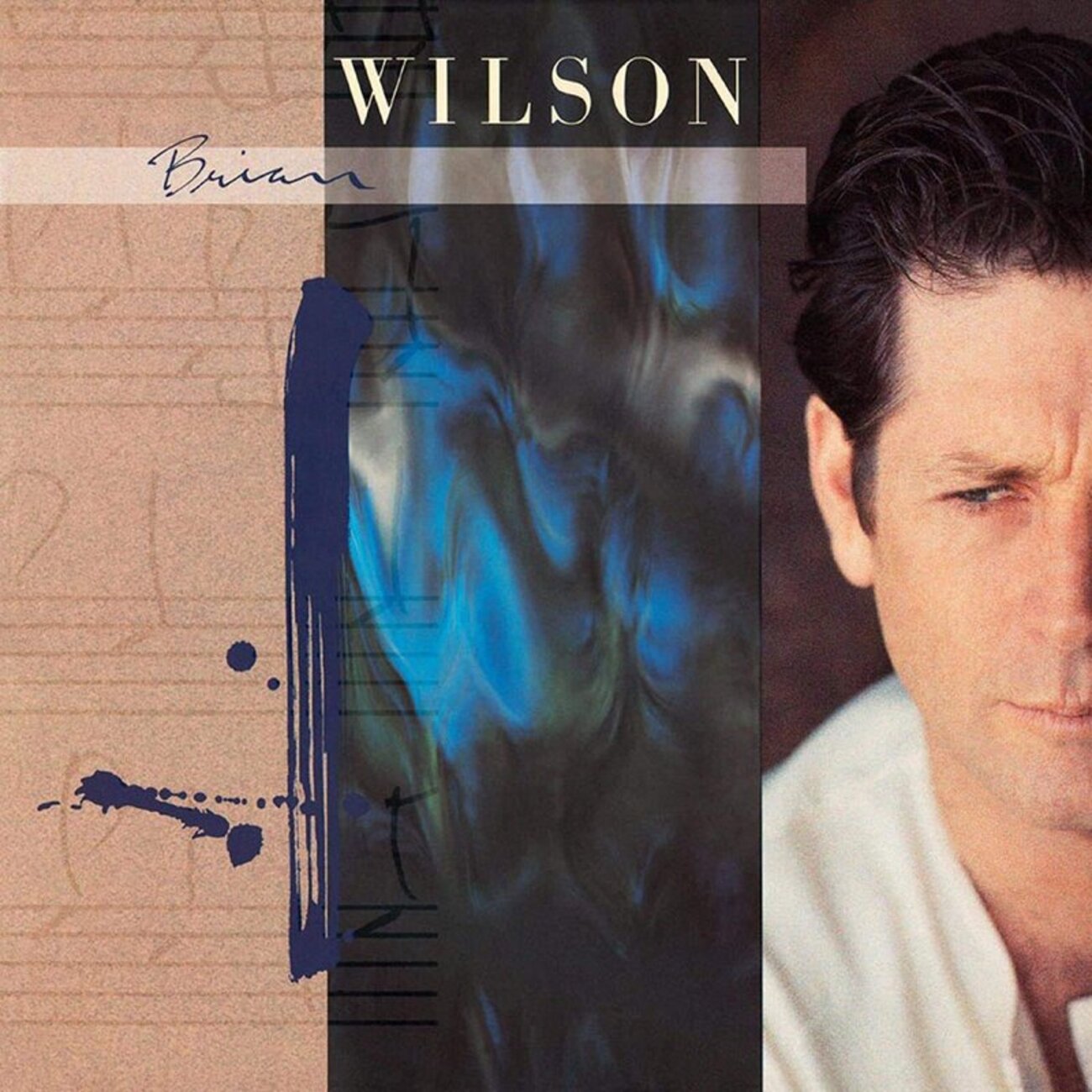 入手難⭐︎ Brian Wilson BEACH BOYS フルーツ2枚タグ
