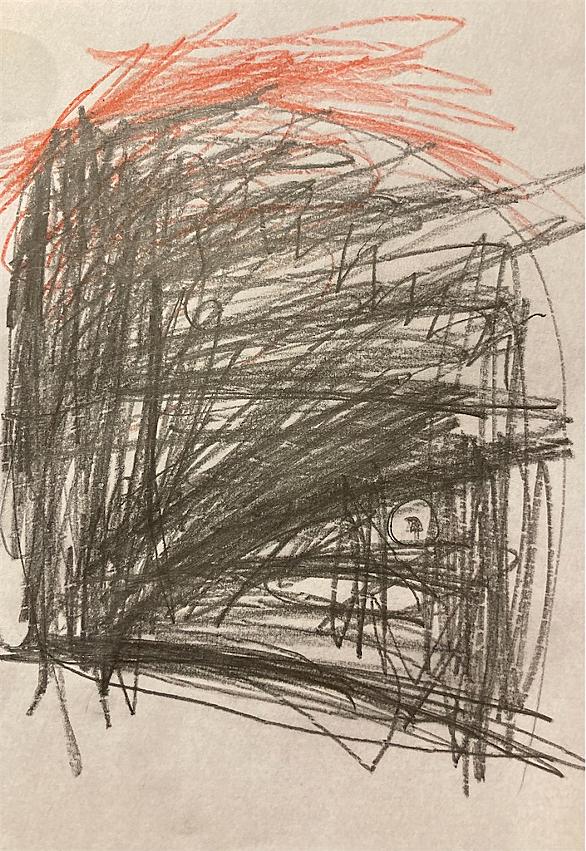 調査捕鯨とは サイエンスの人気 最新記事を集めました はてな