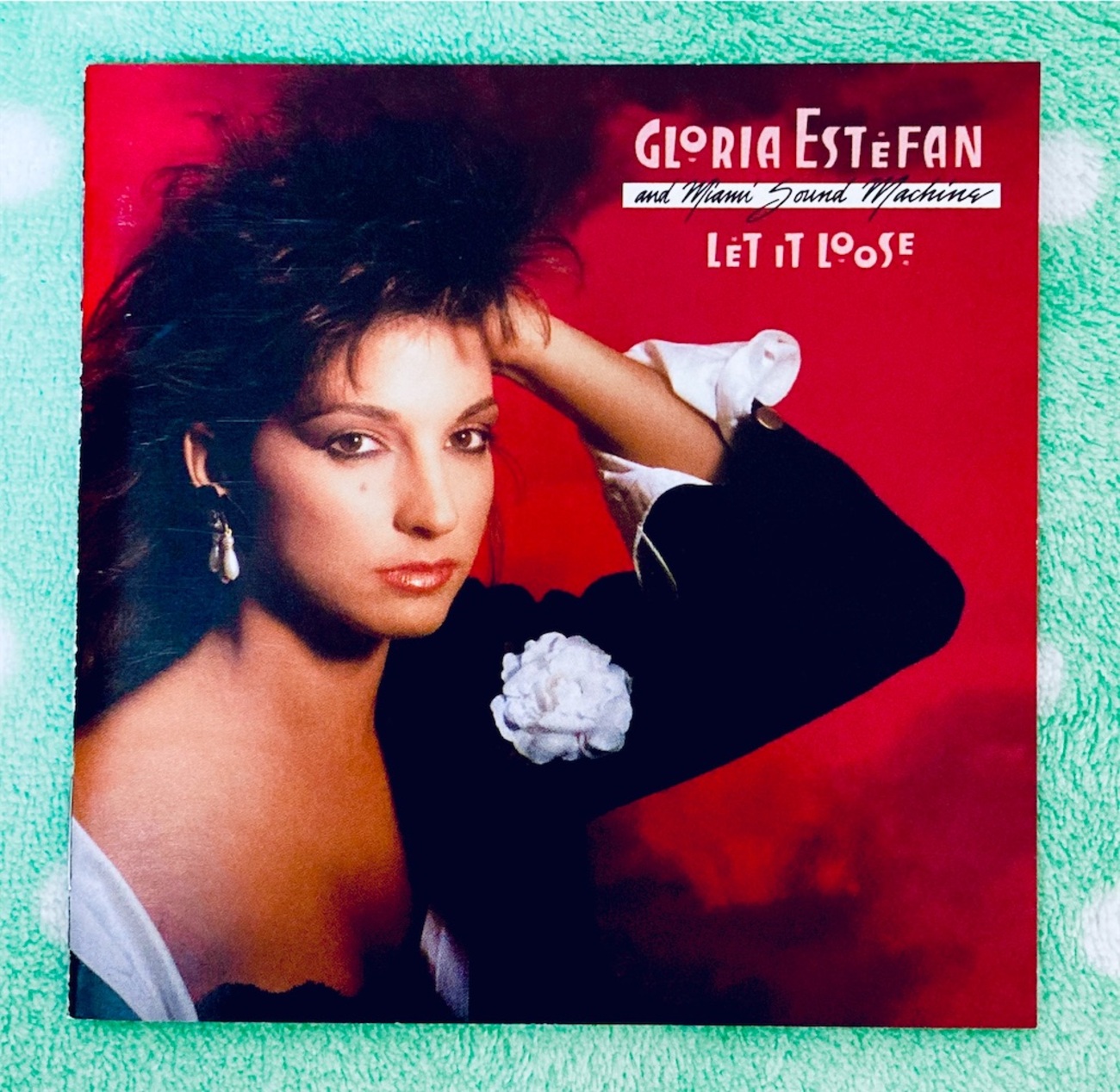 この1枚 グロリア・エステファン ＆ マイアミ・サウンド・マシーン