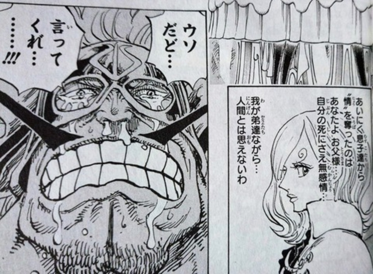 ONE PIECE雑記】「ヴィンスモーク兄弟は悪くない、悪いのはジャッジだ 