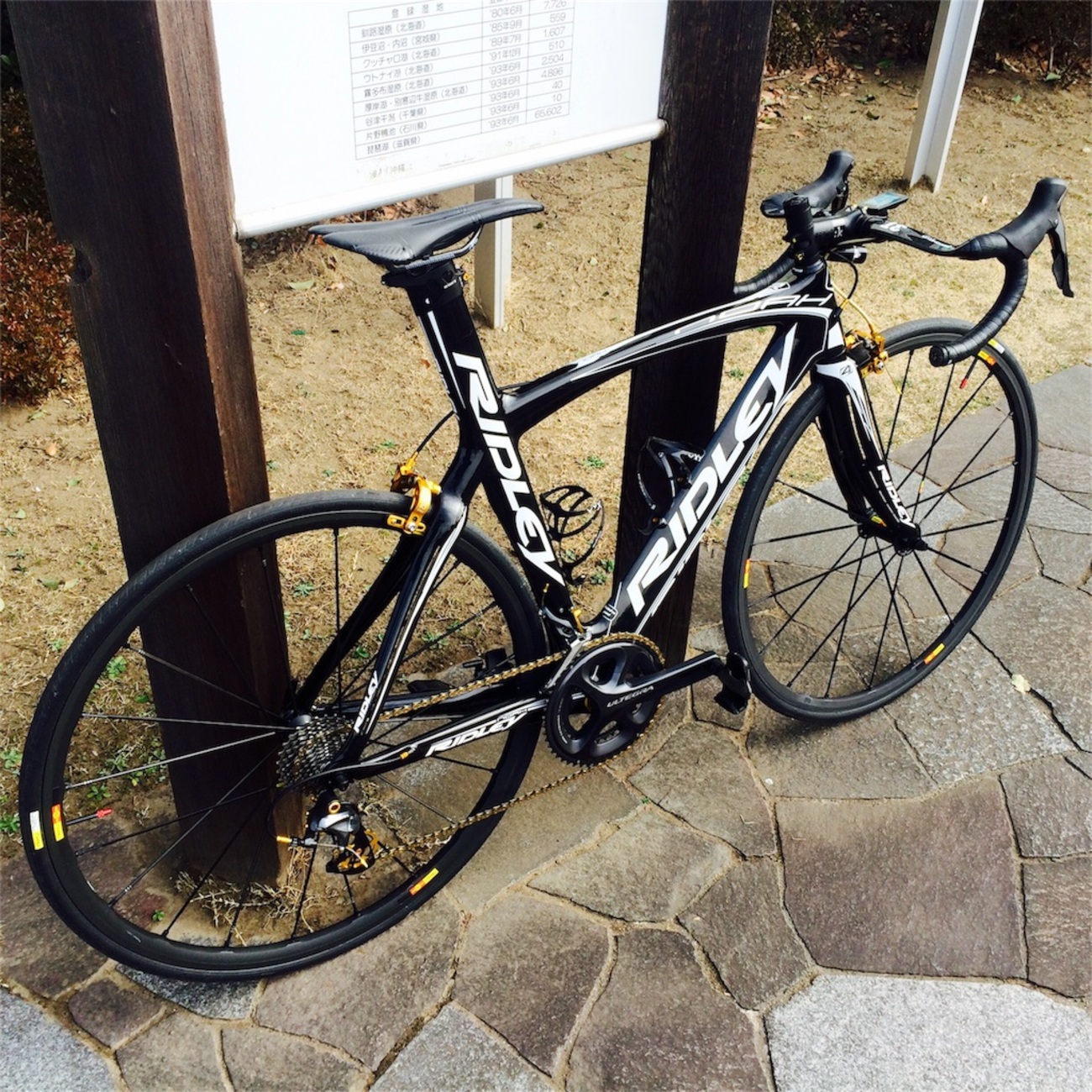 Mavic R-sys SLR - 荒川コッタレス