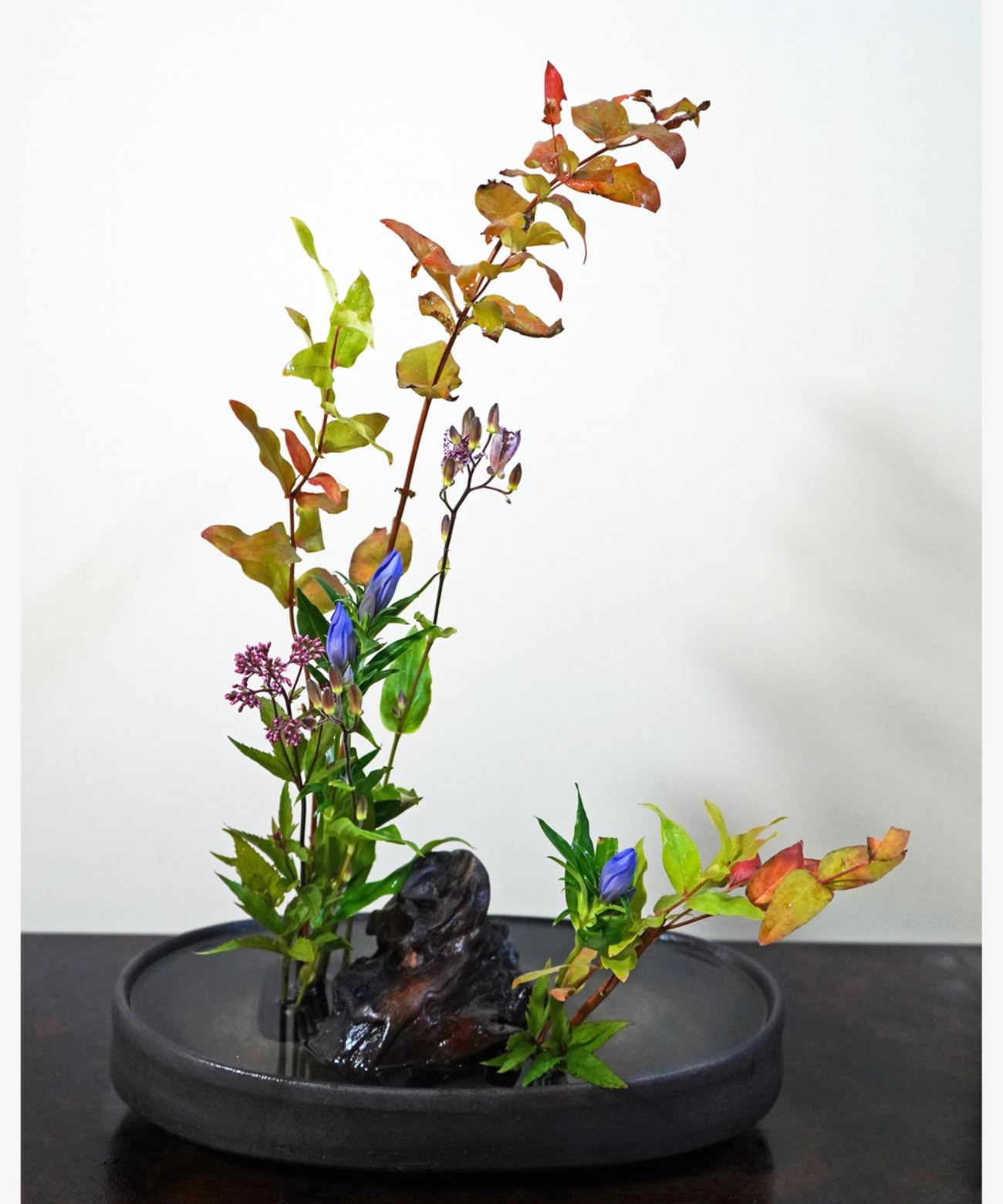 霜葉は二月の花より│秋分の花信 - 花紅柳緑～院長のBLOG