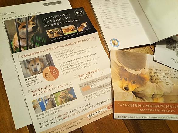 ピースワンコジャパンとは 人気 最新記事を集めました はてな