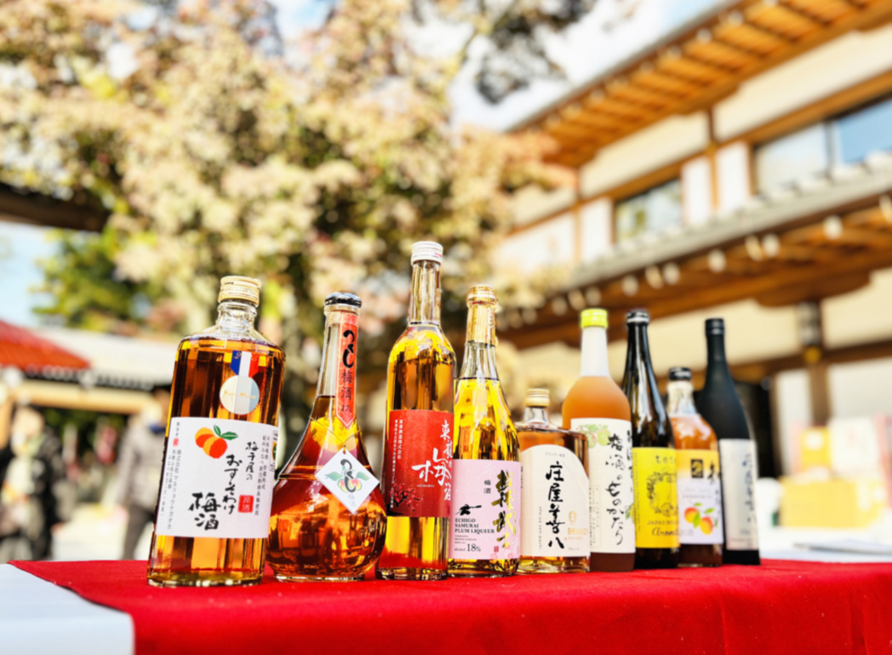 全国梅酒まつり2025 in水戸へ行ってきた・前売りチケットがおすすめ