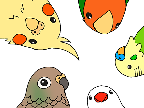 インコ イラスト 無料 無料ダウンロードイラスト画像 インコ イラスト 無料 無料ダウンロードイラスト画像