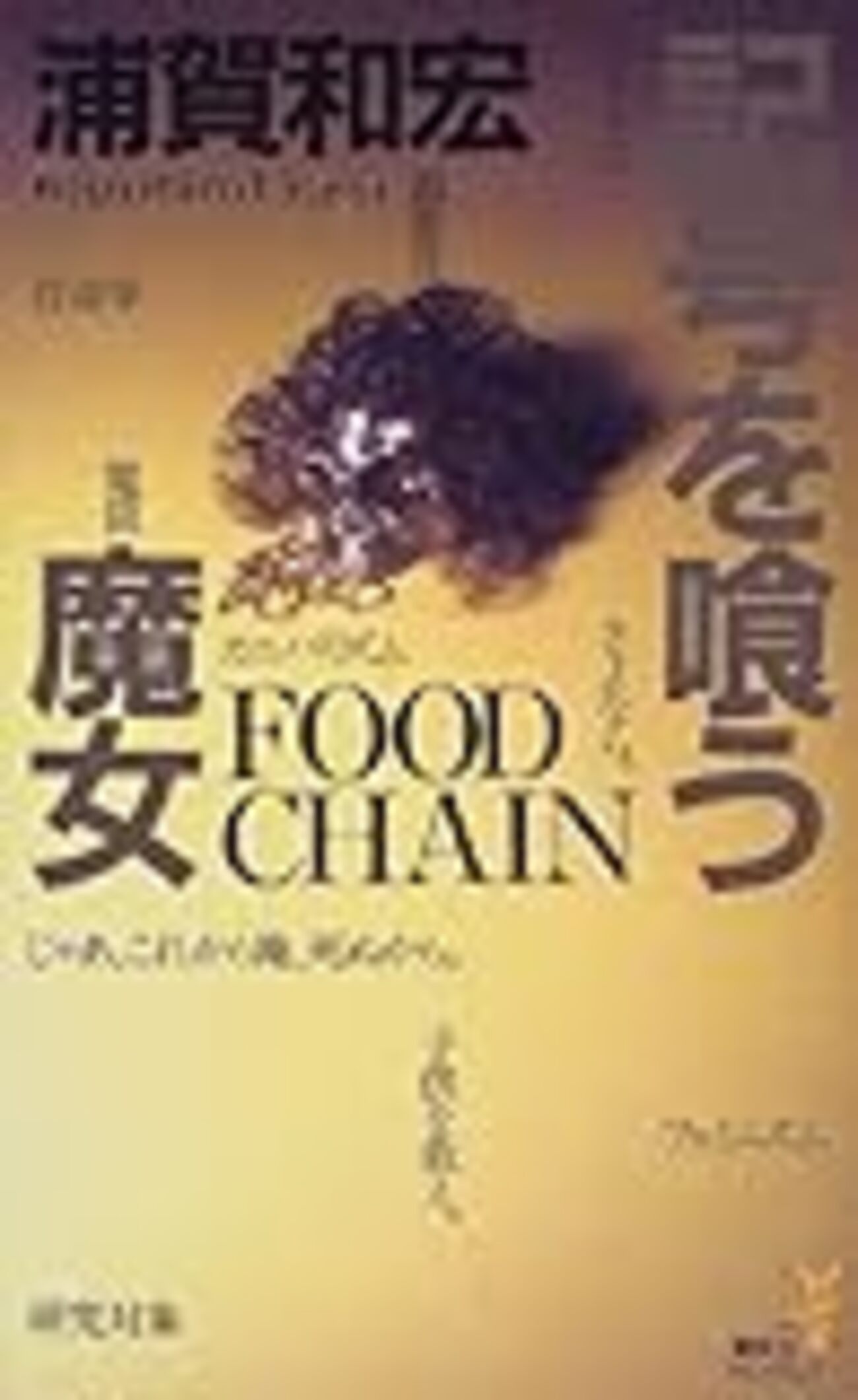 浦賀和宏 安藤直樹シリーズ全巻 講談社ノベルス ミステリーミステリ 浦賀和宏 安藤直樹シリーズ全巻 講談社ノベルス ミステリー