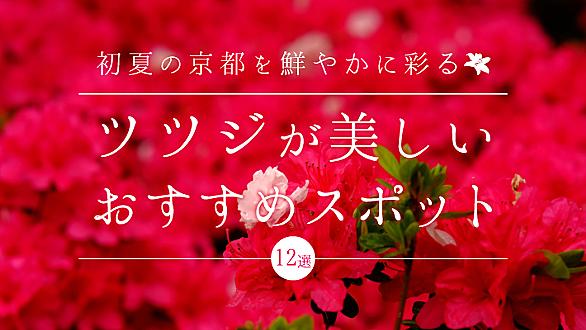 長辻通とは 地理の人気 最新記事を集めました はてな
