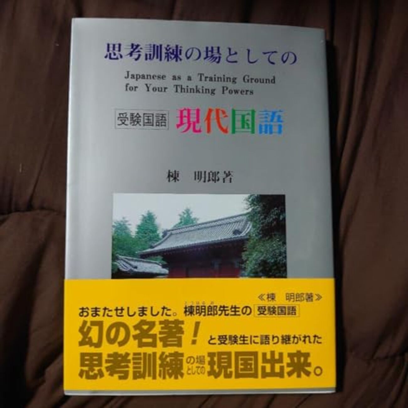 【絶版】思考訓練の場としての現代国語 大学受験参考書を読む(21)棟明郎「思考訓練の場としての現代国語
