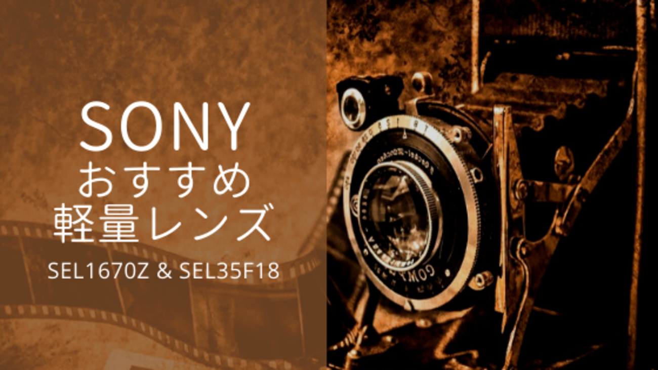 海外旅行におすすめ】ソニーの軽量レンズの紹介 (SEL1670Z / SEL35F18 