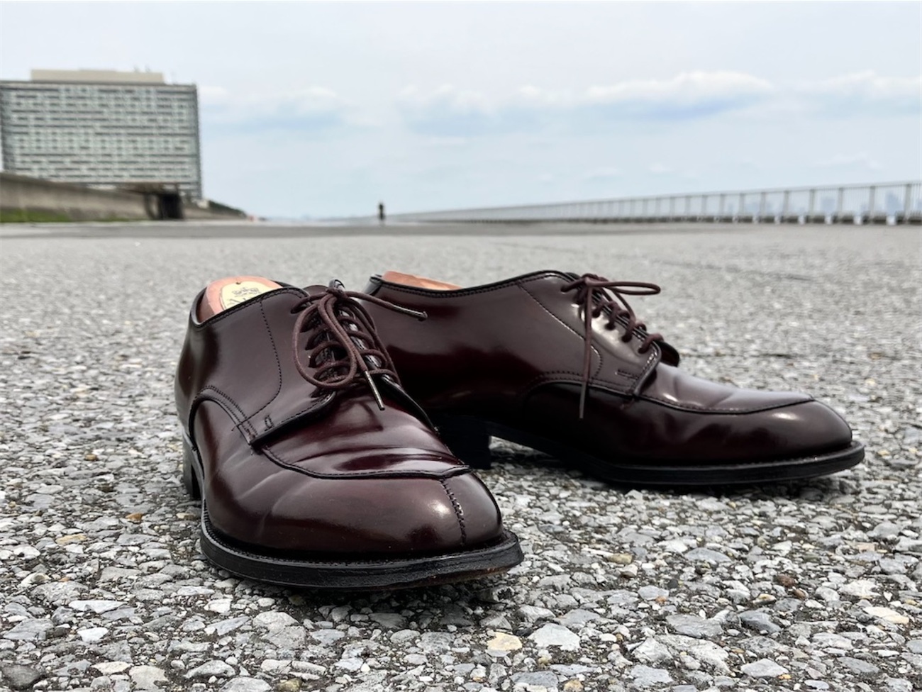 先人の経験と知性の賜物！ アルゴンキン オックスフォード. ALDEN 