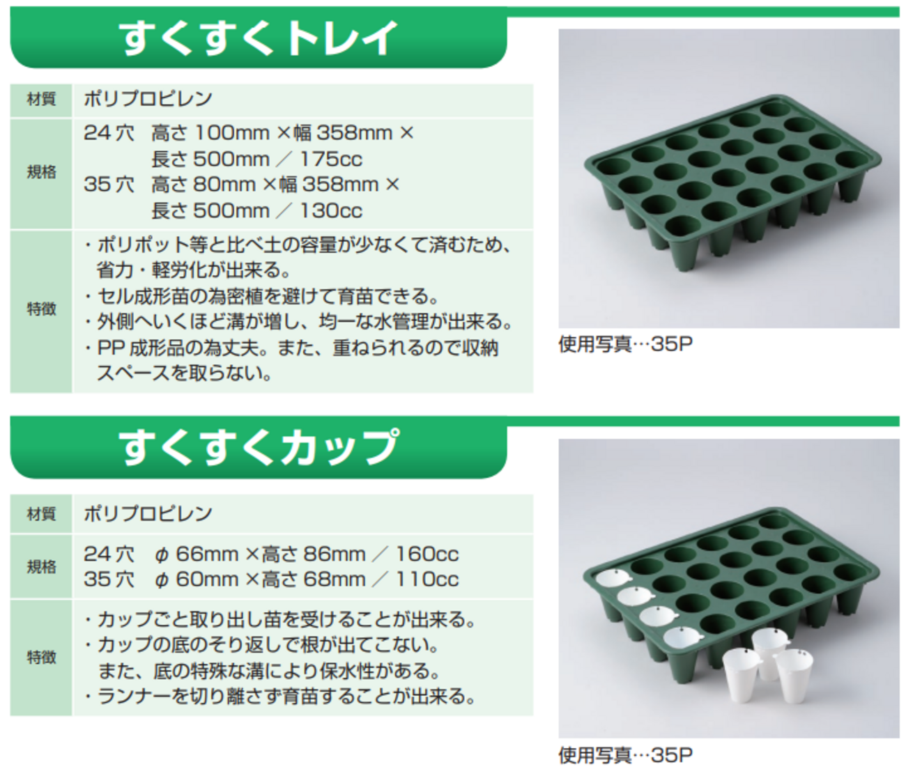 イチゴの育苗におすすめです！「すくすくトレイ」と「すくすくカップ 