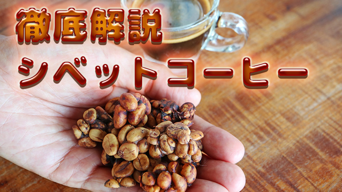 コーヒー好き必見!!】幻の高級コーヒー『シベットコーヒー』について