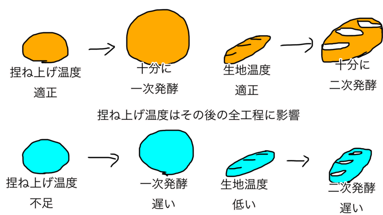 ふくらみかけ　二次 と３つのチェックポイント - BAKEFIRST