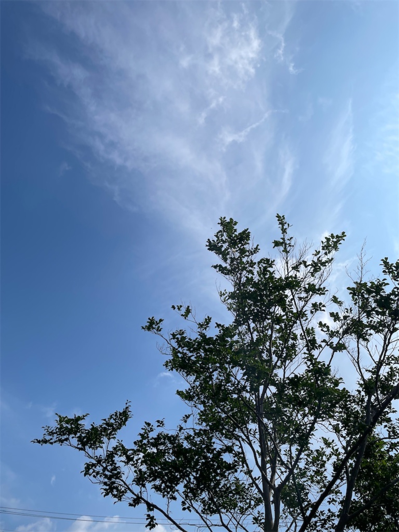 今日の表でのイベントは死にそうに暑いぞ - ゆっこの独り言