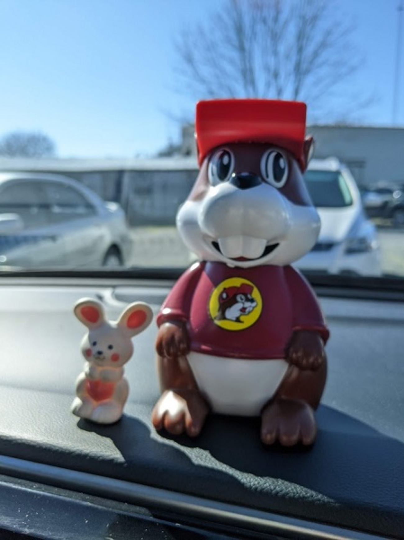 Buc-ee