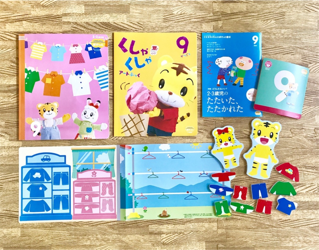 こどもちゃれんじぽけっと9月号レビュー｜せんたくごっこセット