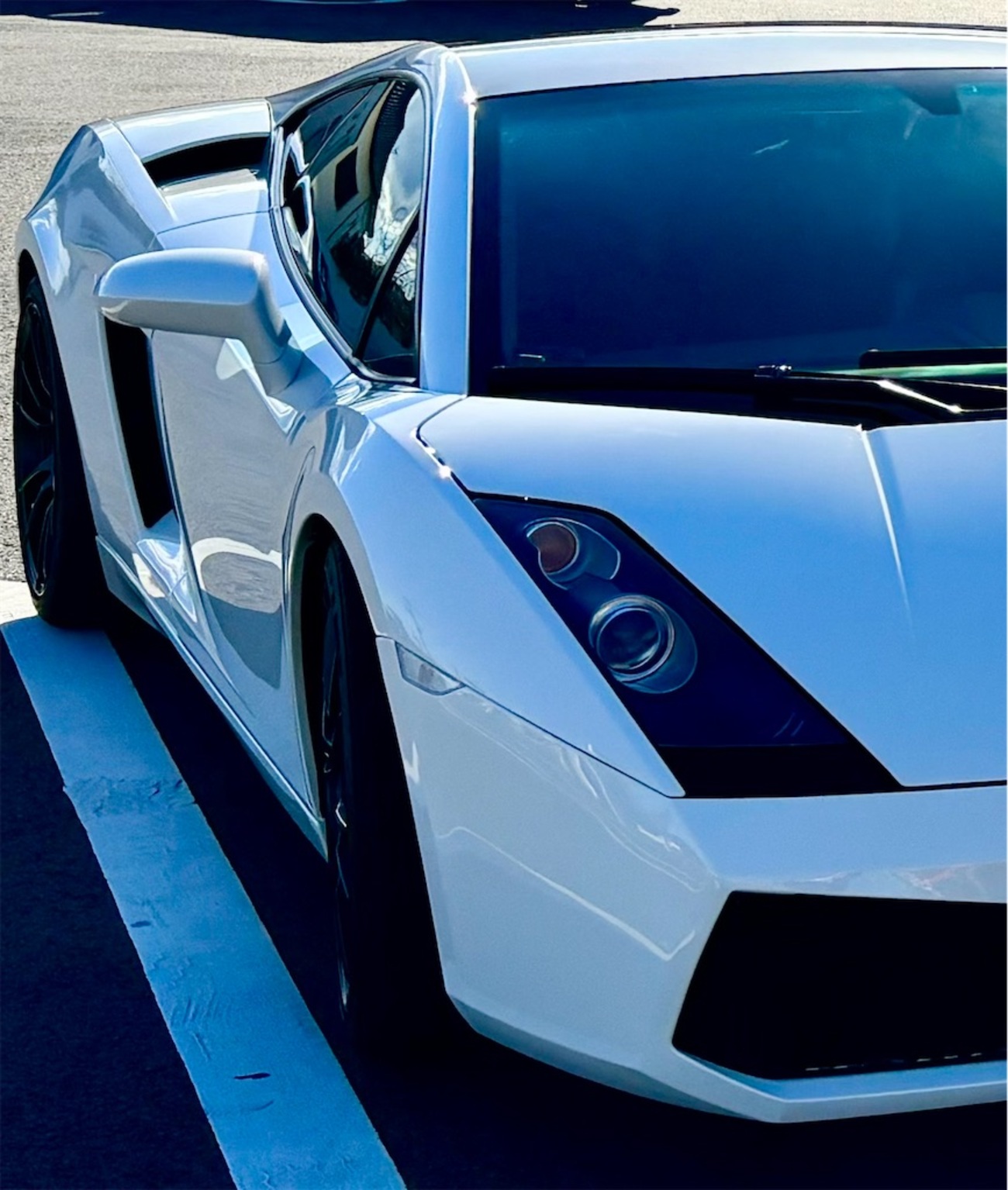 backend=imagemagick;version=1;