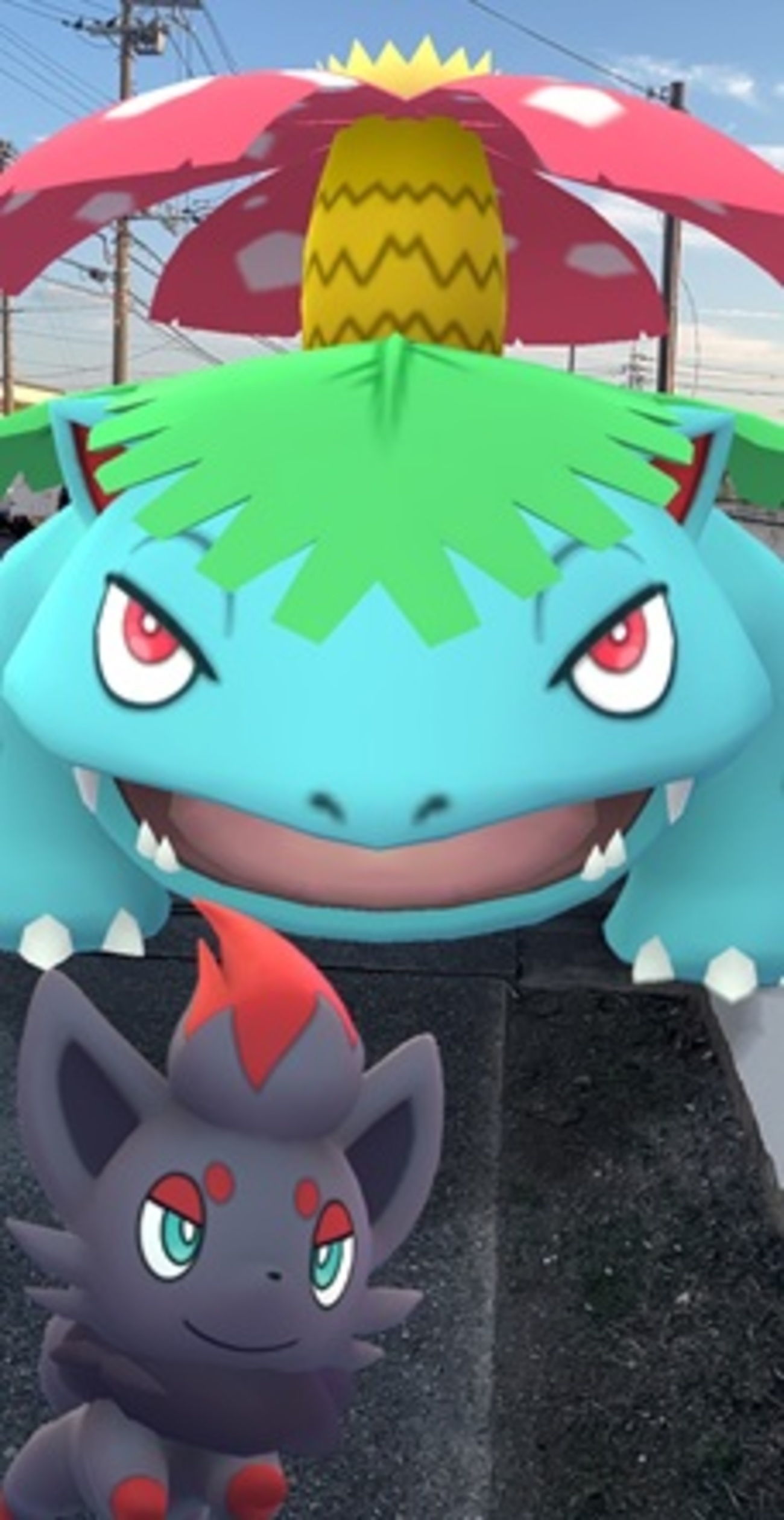 【ポケモンGO】「ゾロア」の「コミュニティ・デイ」お疲れ様!