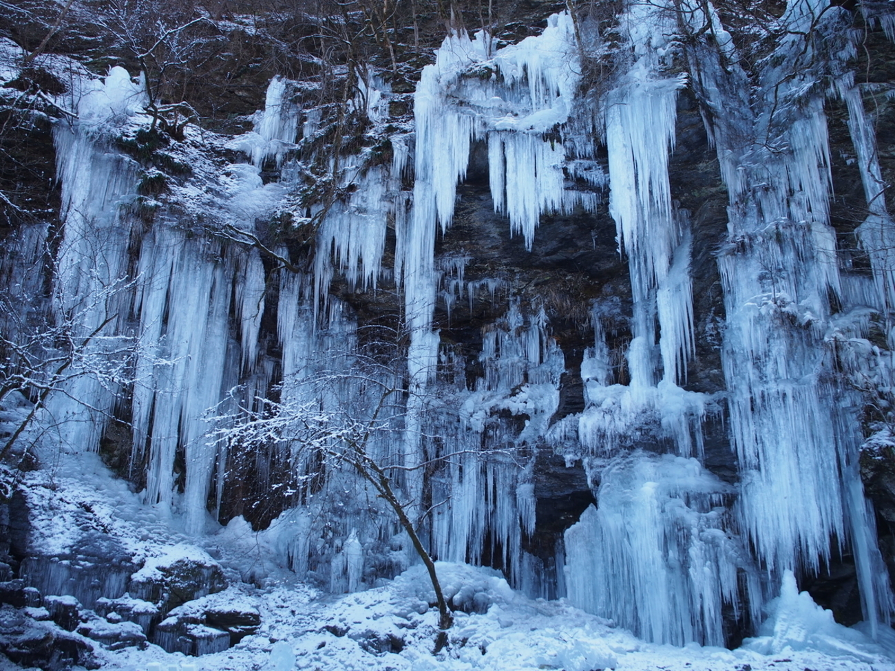 backend=imagemagick;version=1;