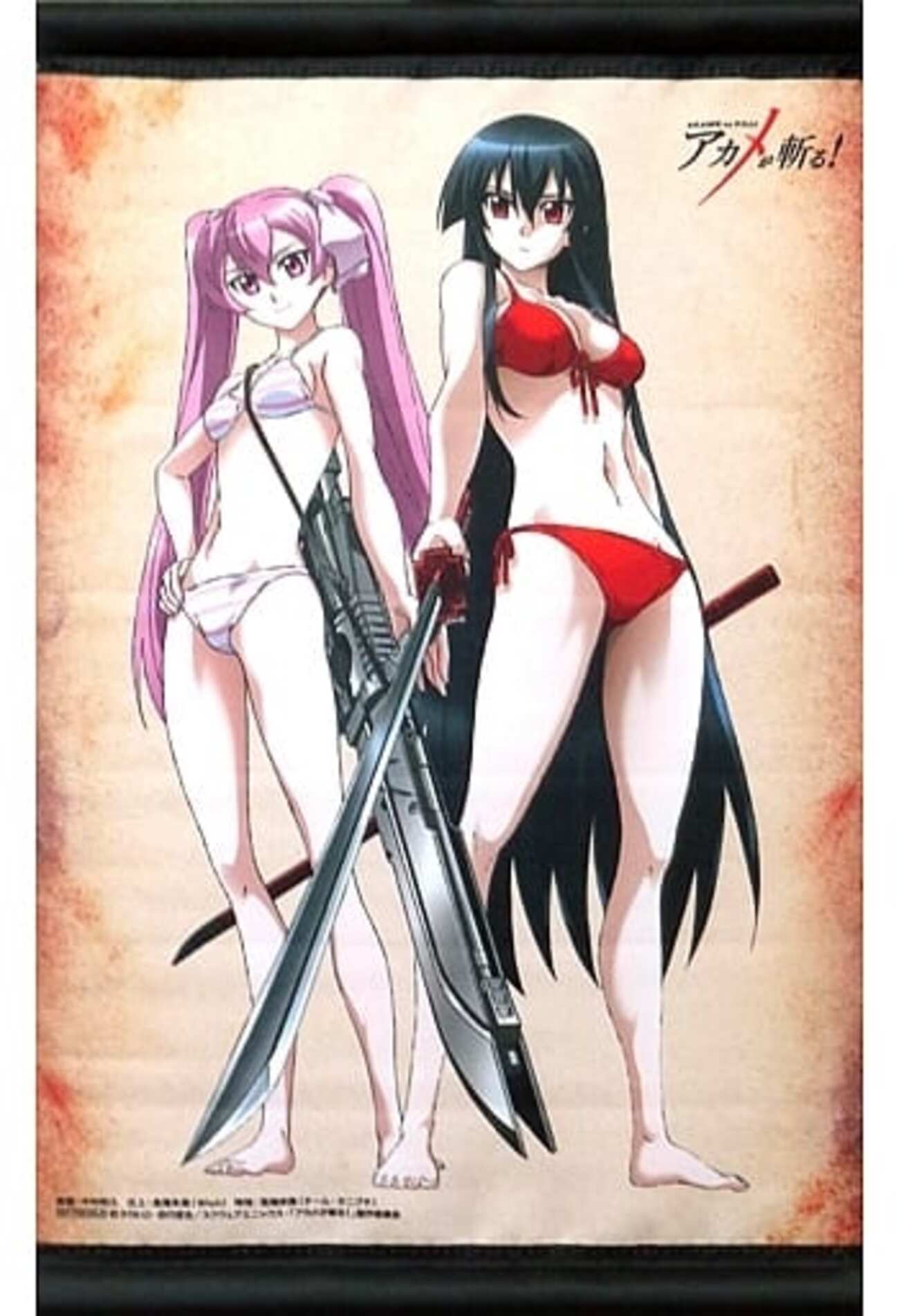 アカメが斬る アカメ タペストリー 特典 今アカメ＆マイン 描き下ろしA3タペストリー 「Blu-ray/DVD アカメが